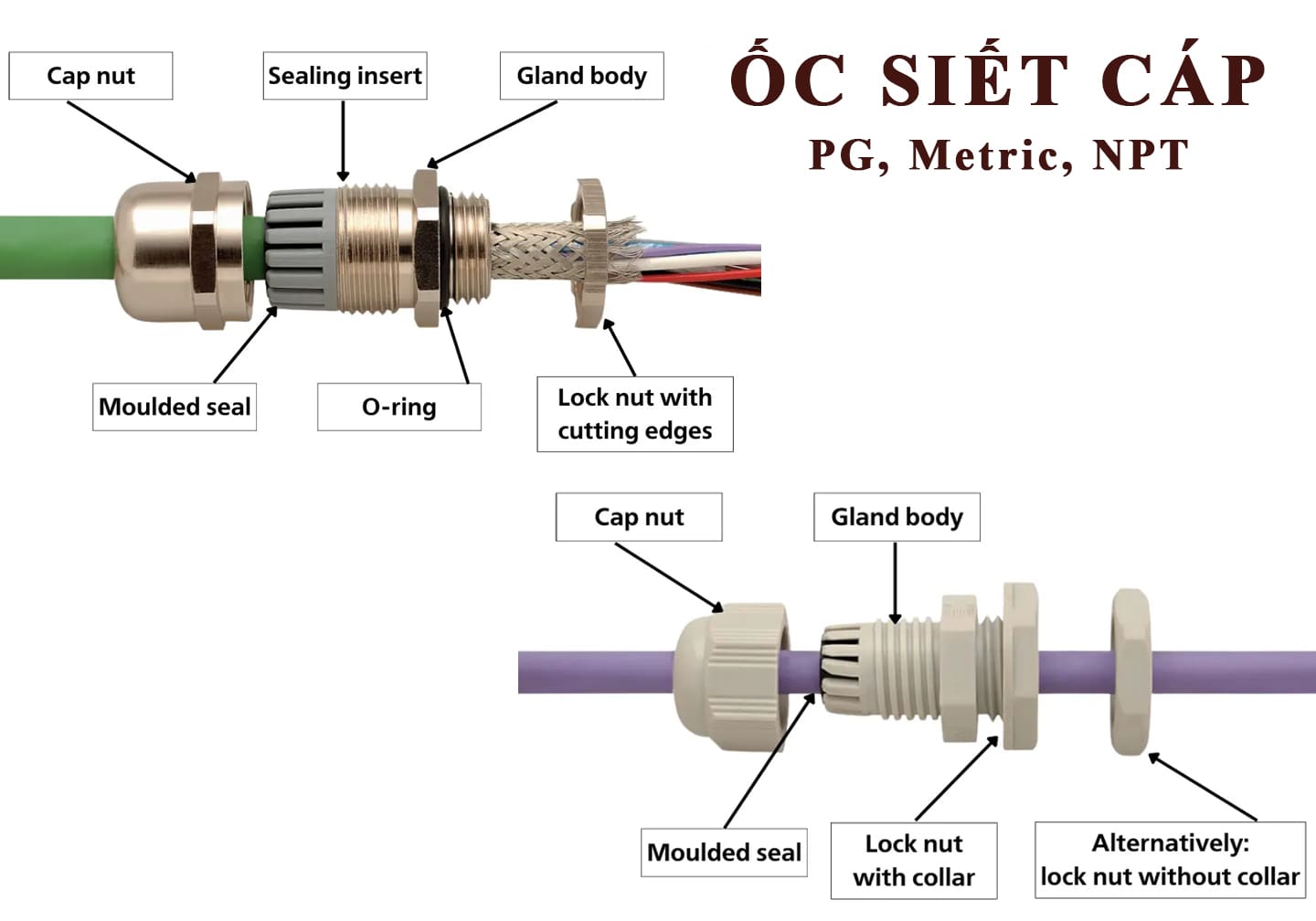 ốc siết cáp; ốc xiết cáp; ốc siết cáp nhựa; ốc siết cáp điện nhựa; ốc siết cáp inox; ốc siết cáp điện inox; ốc siết cáp pg; ốc siết cáp hệ pg; ốc siết cáp metric; ốc siết cáp hệ metric; ốc siết cáp pg7; ốc siết cáp pg9; ốc siết cáp pg11; ốc siết cáp pg13.5; ốc siết cáp pg13.5 l; ốc siết cáp pg16; ốc siết cáp pg21; ốc siết cáp pg29; ốc siết cáp pg36; ốc siết cáp pg42; ốc siết cáp pg48; ốc siết cáp metric m12x1.5; ốc siết cáp metric m16x1.5; ốc siết cáp metric m20x1.5; ốc siết cáp metric m25x1.5; ốc siết cáp metric m32x1.5; ốc siết cáp metric m40x1.5; ốc siết cáp metric m50x1.5; ốc siết cáp metric m63x1.5;