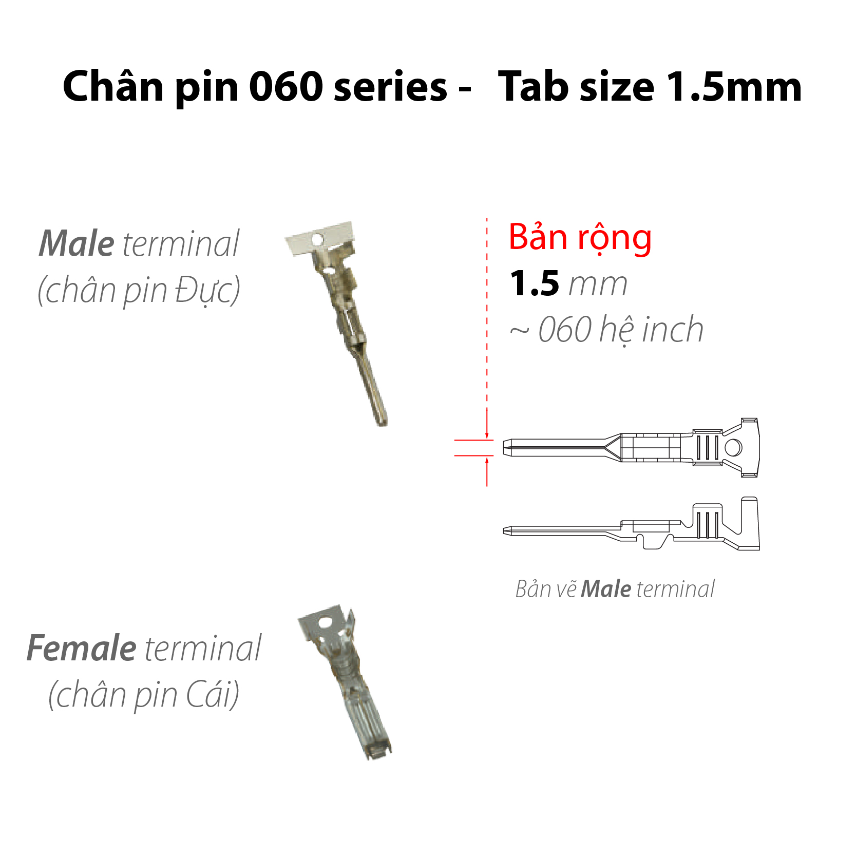 đầu cos dạng cuộn chân kim pin lhe terminal a b c d tp tp2 t21p2 phosphor bronze tin-plated lắp vào jack nối dây điện vỏ nhựa housing connector cho máy dập tự động chân pin terminal lhe; chân pin lhe terminal đầu cos kim ghim; đầu cos kim lhe; đầu cos kim lhe terminal; đầu cos ghim lhe; đầu cos ghim lhe terminal; đầu cos lhe terminal; đầu cos lhe terminal dạng cuộn; terminal lhe cuộn cho máy dập; terminal lhe cuộn cho máy dập tự động; chân pin hãng lhe terminal đầu cos kim ghim; đầu cos kim thương hiệu lhe; đầu cos kim cho bộ dây điện lhe terminal; đầu cos ghim lhe vật tư gia công bộ dây điện; đầu cos ghim lhe terminal cho wire harness; đầu cos cuộn cho máy dập sản xuất bộ dây điện lhe terminal; đầu cos nhãn hiệu lhe terminal dạng cuộn; terminal maker lhe cuộn cho máy dập; terminal brand lhe cuộn cho máy dập tự động;